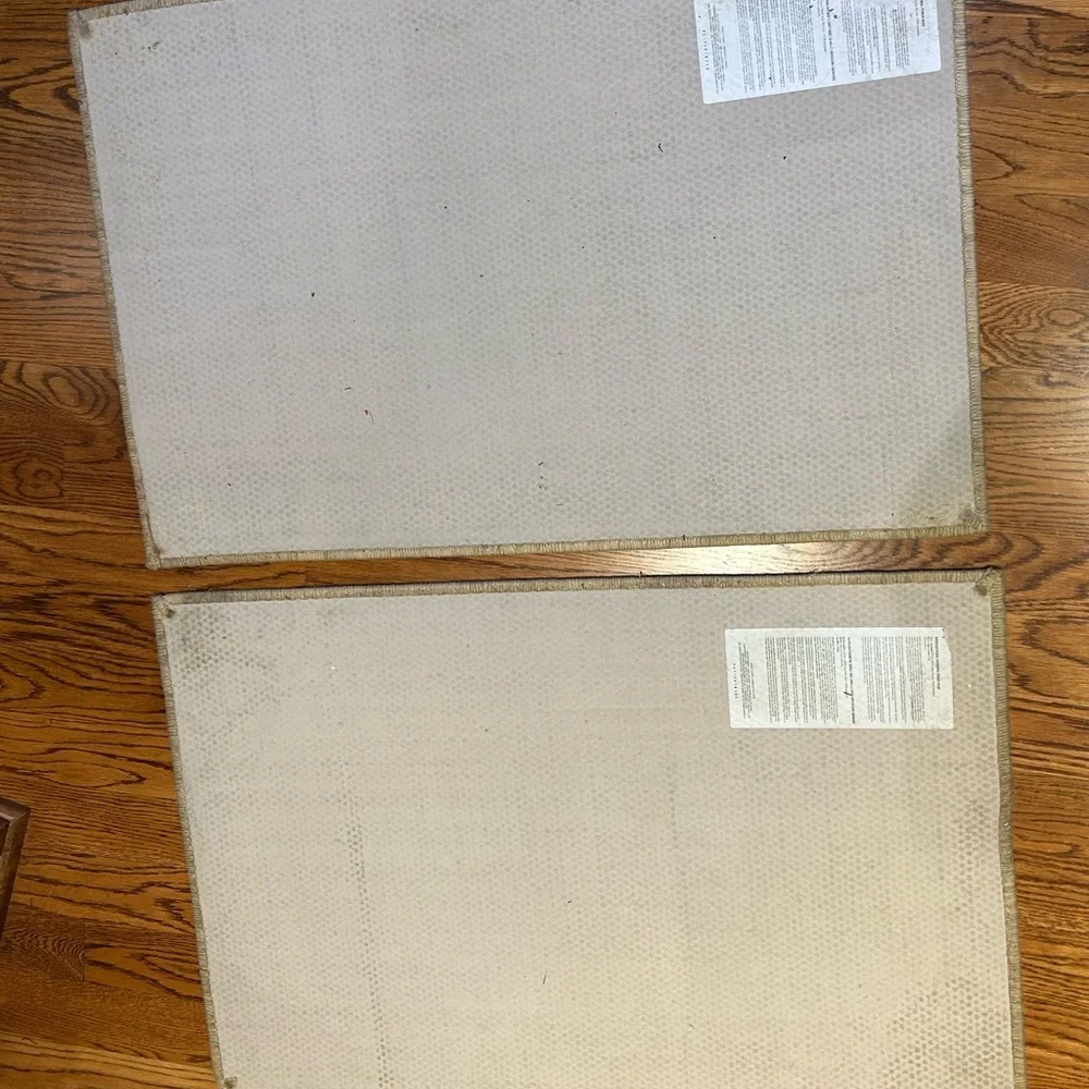Pair of Pottery Barn 2x3 Natural Sisal Fiber Rugs with Serged Border
